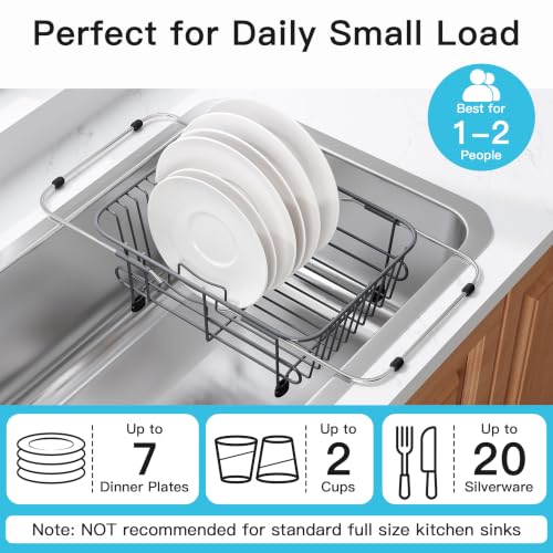 Gray Dish Drying Rack in Sink with Utensil Holder