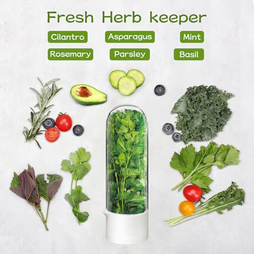 Herb Keeper for Refrigerator