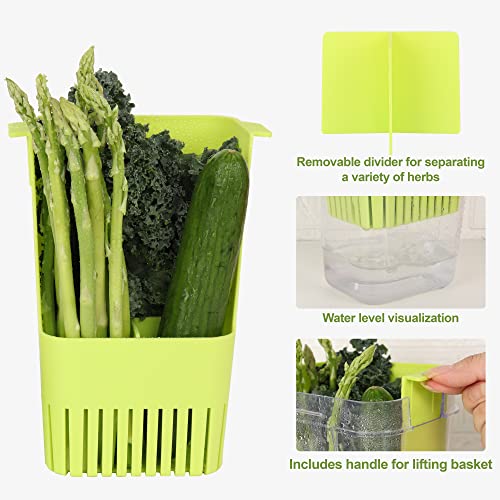 Herb Keeper BPA