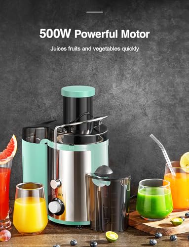 Juicer Machine 800W Centrifugal Juicer with Wide Mouth Feed Chute