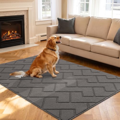 Indoor Doormat