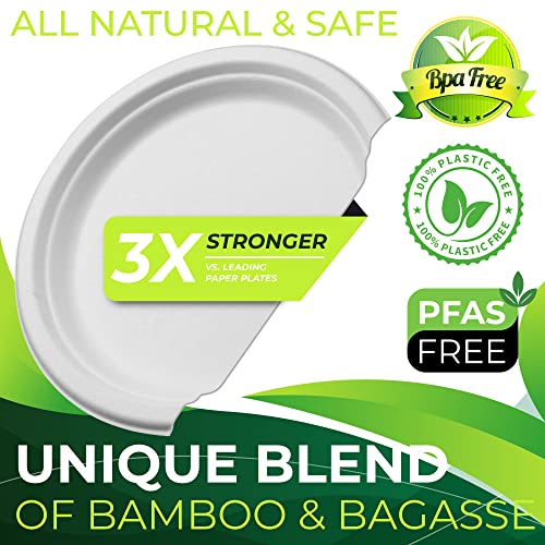 150pcs 100% Compostable Small Paper Plates (150 Count)