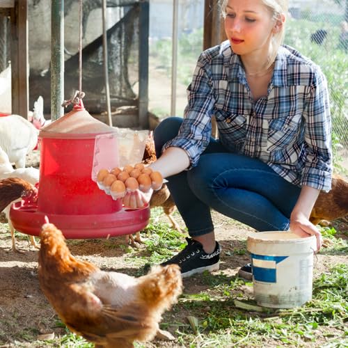 60Pack Duck Egg Cartons Cheap Bulk 1 Dozen Jumbo Egg Cartons (60 Count)