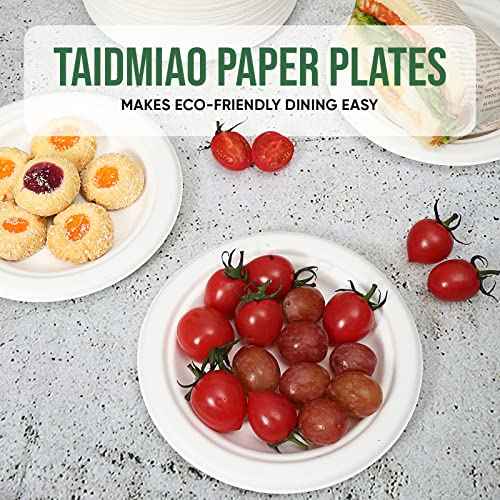 Small Disposable Paper Plate 6 inch (100 Count)