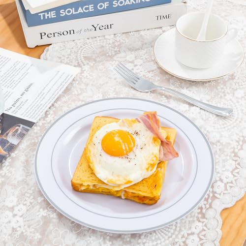 100PCS Silver Plastic Plates (100 Count)