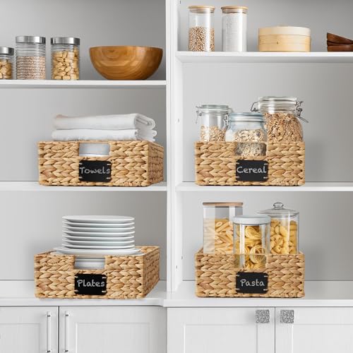 Set of 4 Water Hyacinth Pantry Baskets (4 Count)