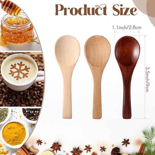 100 Pcs Small Wooden Spoons (102 Count)