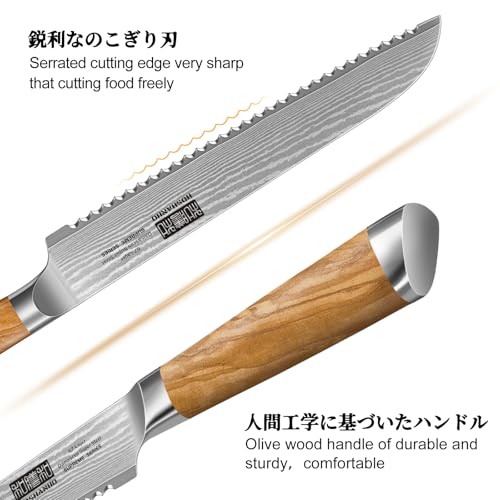 Damascus Bread Knife 8"