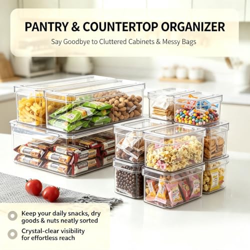 10 Pack Food Storage Organizer Bins (10 Count)