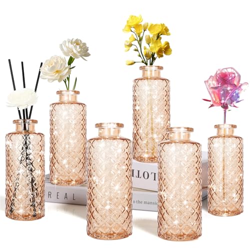 Glass Bud Vase (6 Count)