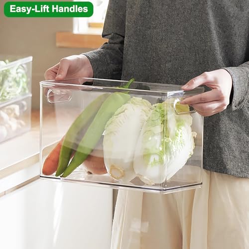 Clear Stackable Storage Drawers