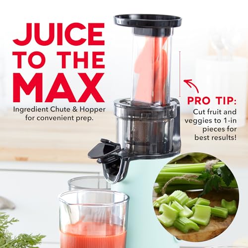 Deluxe Compact Cold Press Juicer
