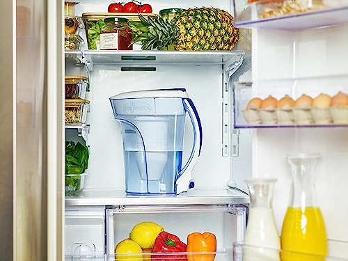 10 Cup Pitcher Water Filter Removes PFOA