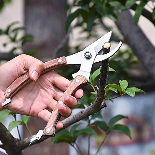 Wood Handle Pruning Shears