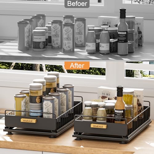 Under Sink Organizer