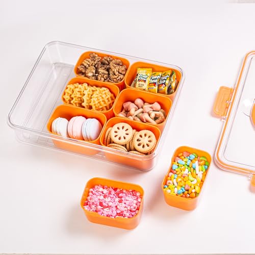 Divided Serving Tray with Lid and Handle