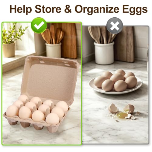25 Pack Egg Cartons Bulk (12 Count)