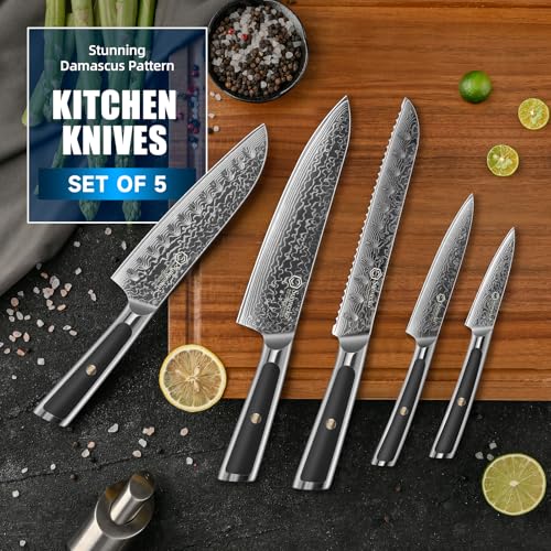 Damascus Kitchen Knife Set 5 Piece (5 Count)