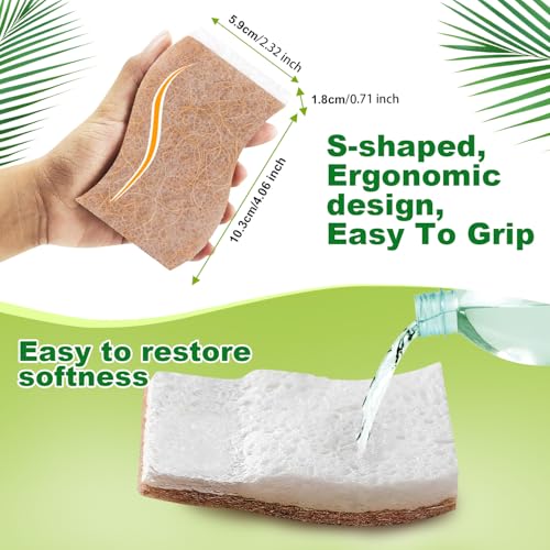 Kitchen Dish Sponges (24 Count)