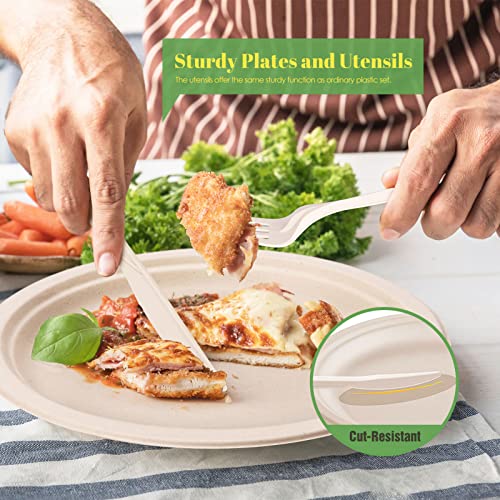Compostable Paper Plates Napkins Set 250pcs Disposable Plates