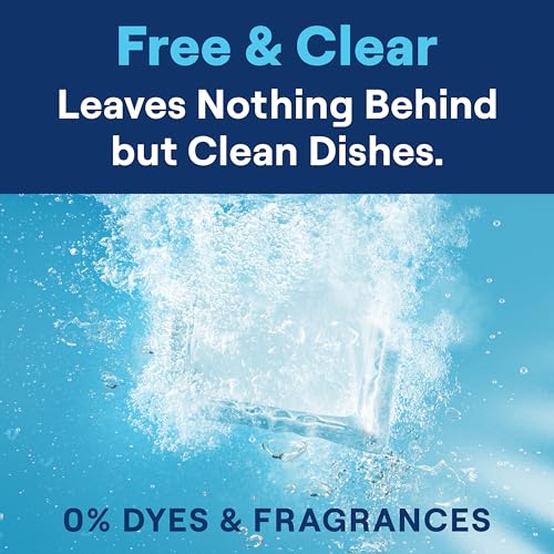 Dishwasher Detergent Packs (20 Count)