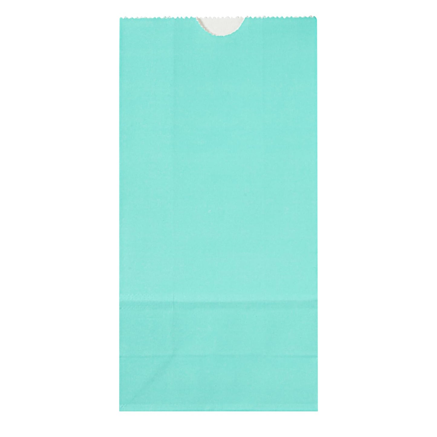 Turquoise Paper Bag (100 Count)