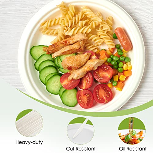 120 Pack Compostable Paper Plates Disposable (60 Count)