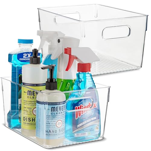 Plastic Food Storage 2 Pack Clear Container Bin with Handles for Organizing Kitchen (2 Count)
