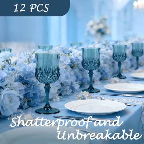 12Pack Plastic Wine Glasses (12 Count)