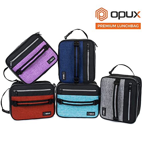 Insulated Lunch Bag for Men Women Kids