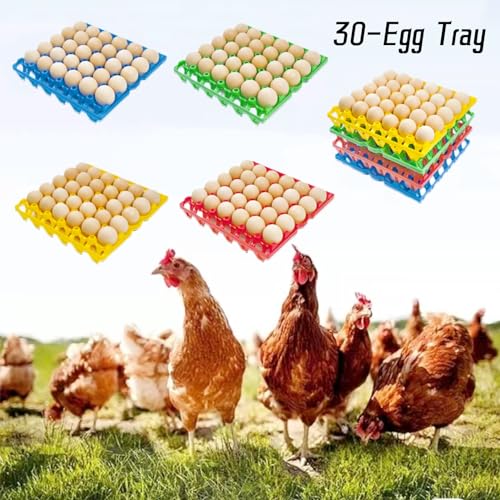 4 Pack Plastic Egg Tray Egg Crates 30 (4 Count)