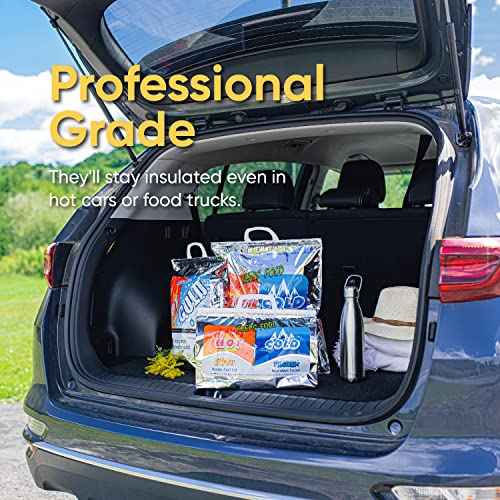 Hot and Cold Insulated Bags for Food Delivery