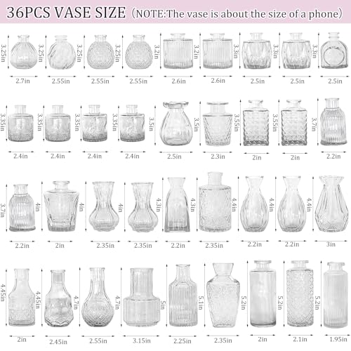 Set of 36 Glass Bud Vases Small Flower Vases for Centerpieces (36 Count)