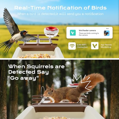 Bird Feeder with Camera