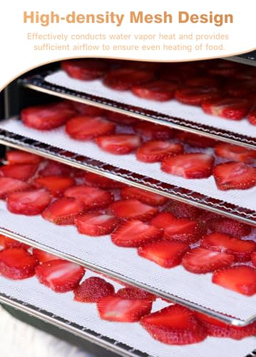 6 Pack Silicone Dehydrator Sheets (6 Count)