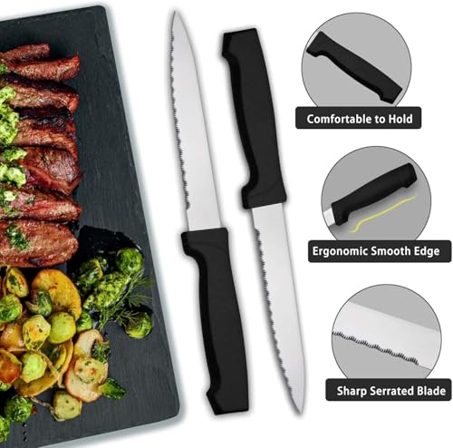48 Piece Stainless Steel Silverware Set for 8 (48 Count)