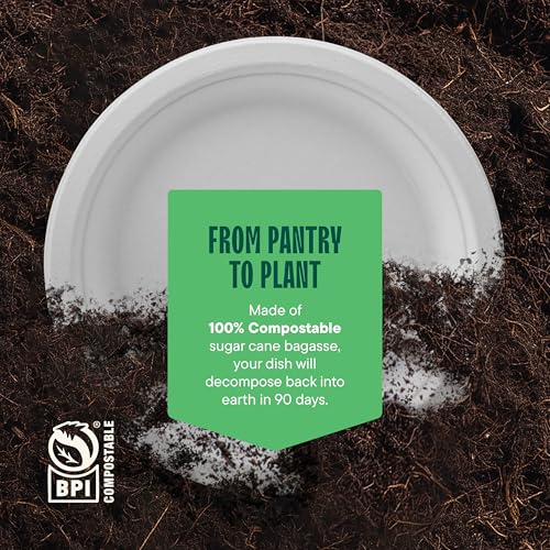 100% Compostable Paper Plates 9 Inch [500 Count] Heavy