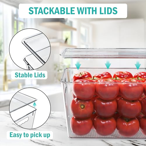 6 Pack Clear Storage Bins with Lids (6 Count)