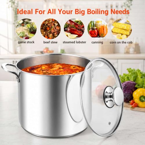 12 Quart Stock Pot