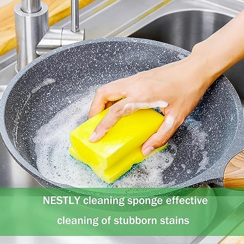 Sponges Eco Non (12 Count)