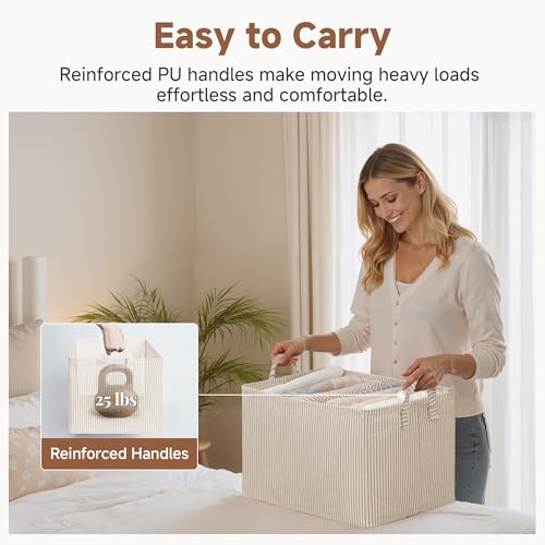 Closet Storage Bins (2 Count)