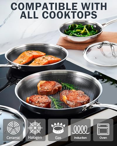 Stainless Steel Hybrid Nonstick 10