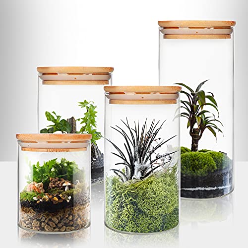 9 Pack 20 oz Glass Jars with Airtight Bamboo Lids for Kitchen (9 Count)