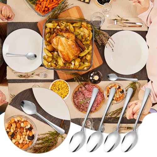 Windsor 96 Pcs Stainless Steel Dinner Spoons (96 Count)