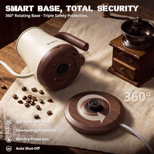 Gooseneck Electric Kettle