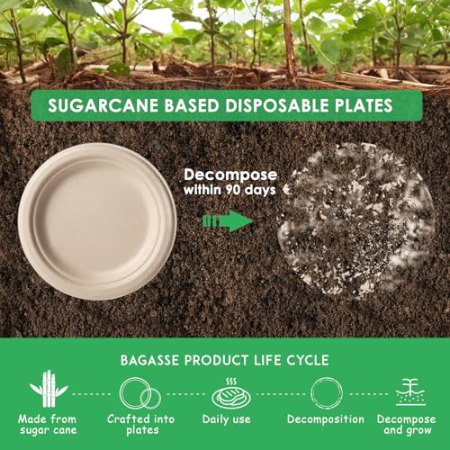 Compostable Small Paper Plates 6 Inch 125 Pack Dessert Plates (125 Count)