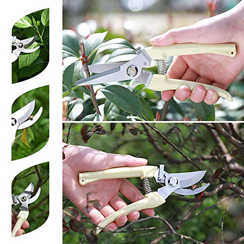 Garden Shears Set of 2