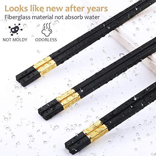 10 Pairs Fiberglass Chopsticks