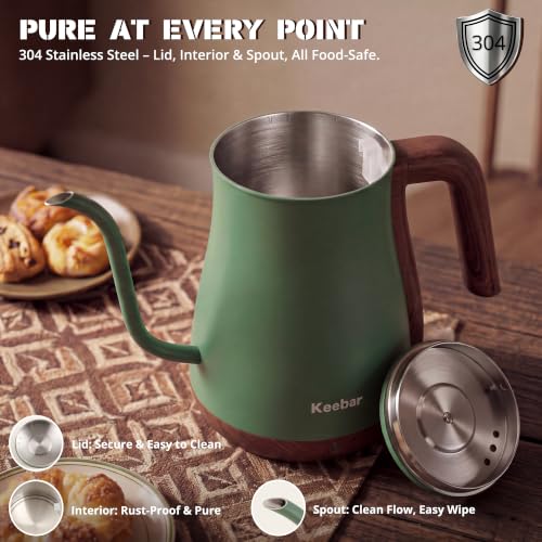 Gooseneck Electric Kettle
