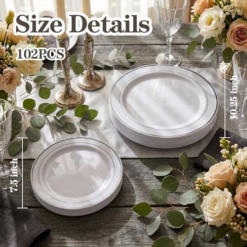 102 Pcs Silver Plastic Plates (51 Count)